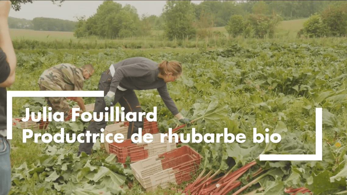 Julia Fouilliard, productrice de rhubarbe bio (Gastins 77370)