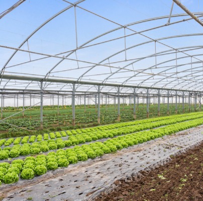 Visite de la ferme VAL BIO