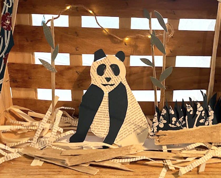 ATELIER CAGETTES SUR LE THÈME DE LA BIODIVERSITÉ