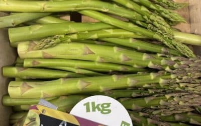 Blanche, verte ou violette … l’asperge se déguste en mai !