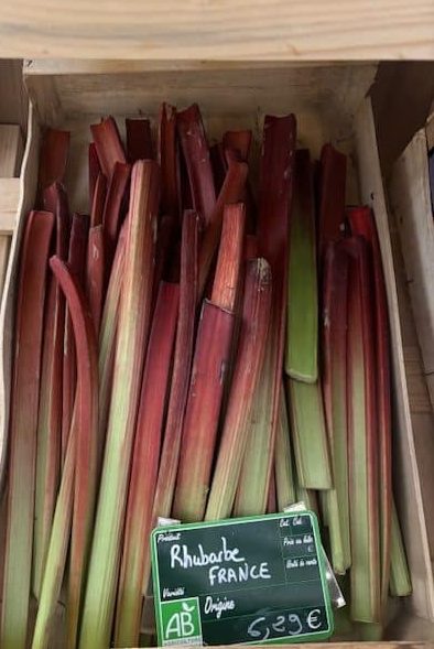 La rhubarbe, un fruit-légume de saison