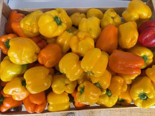 Légumes d’été … ça change de la ratatouille !