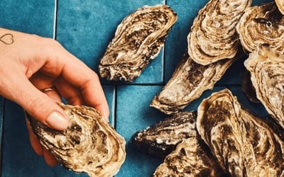 Précommandes d’huîtres – Noël 2025